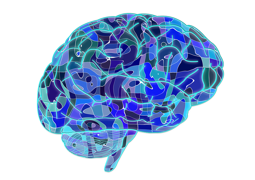 An illustration of a human brain showing the connections that are possible